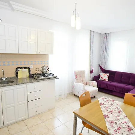 Kekik Azure Homes Oeluedeniz 3* 费特希耶